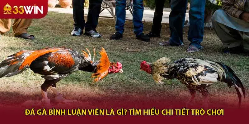 Đá Gà Bình Luận Viên Là Gì? Tìm Hiểu Chi Tiết Trò Chơi